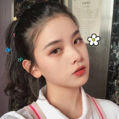 半岛官网入口网页版下载手机版